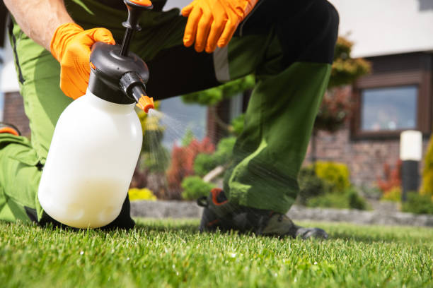 Best Wasp Removal Services  in Farmington, MS