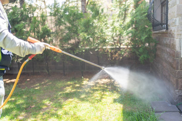 Best Mosquito Control Services  in Farmington, MS