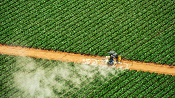 Best Best Pest Control Companies  in Farmington, MS