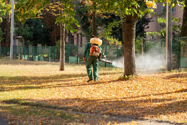 Trusted Farmington, MS Pest Control Experts