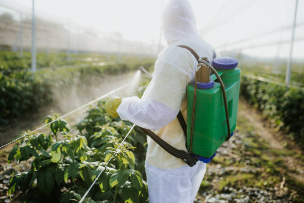 Best Ant Control Services  in Farmington, MS